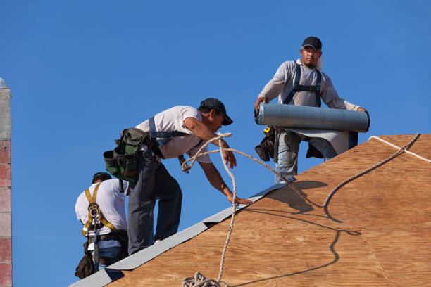 Best Roof Gutter Cleaning  in Summit, MS