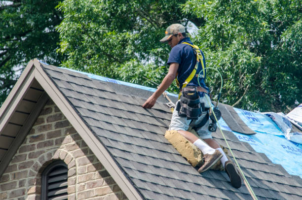 Best Gutter Installation and Roofing  in Summit, MS